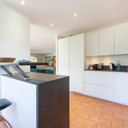 Large Provencal With Swimming Pool In Lush Greenery Live In Cannes Villa *