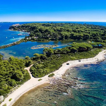 Large Provencal With Swimming Pool In Lush Greenery Live In Cannes * Vallauris